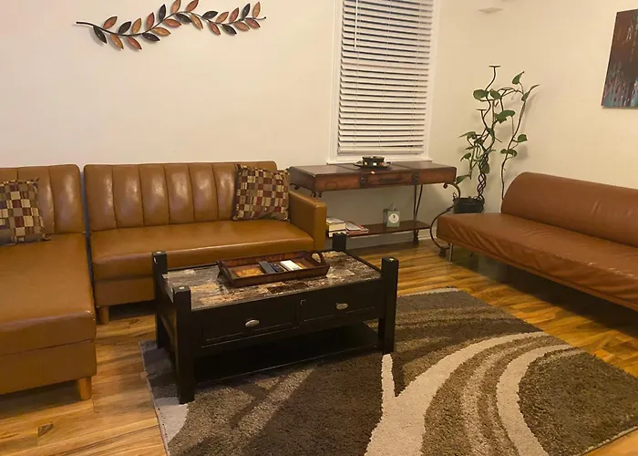 Yoel Properties